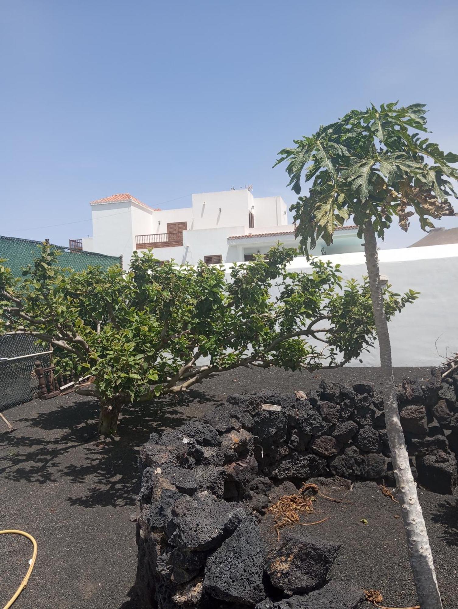 Villa Casa Siempreviva Teguise  Exterior foto