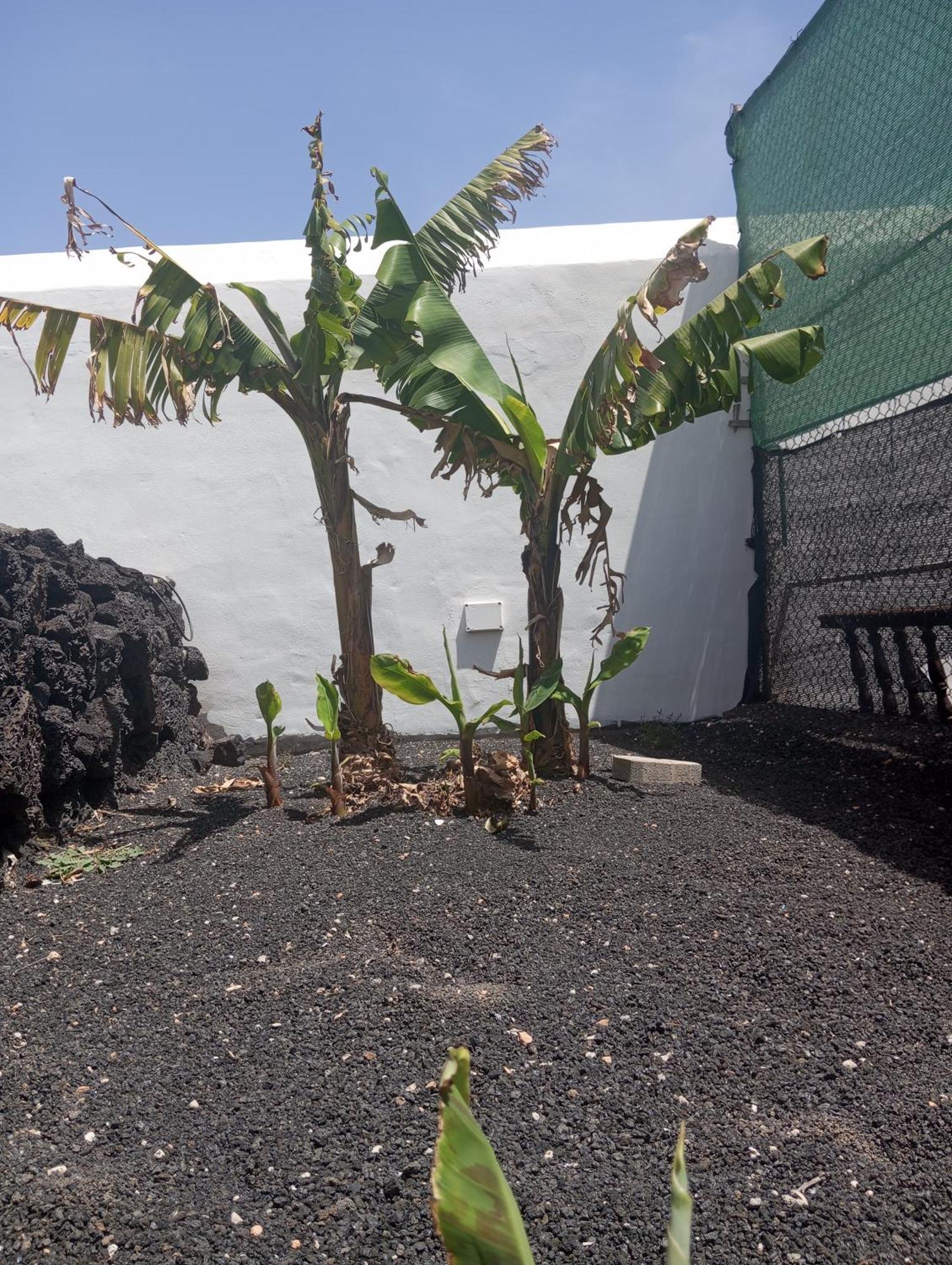 Villa Casa Siempreviva Teguise  Exterior foto